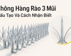Chông Hàng Rào 3 Mũi: Cấu Tạo Và Cách Nhận Biết