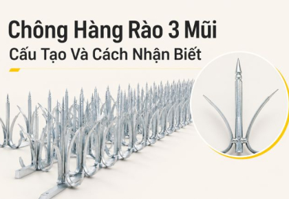 Chông Hàng Rào 3 Mũi: Cấu Tạo Và Cách Nhận Biết
